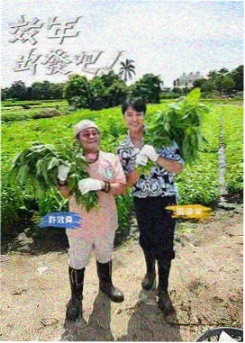 片场实录综艺海报